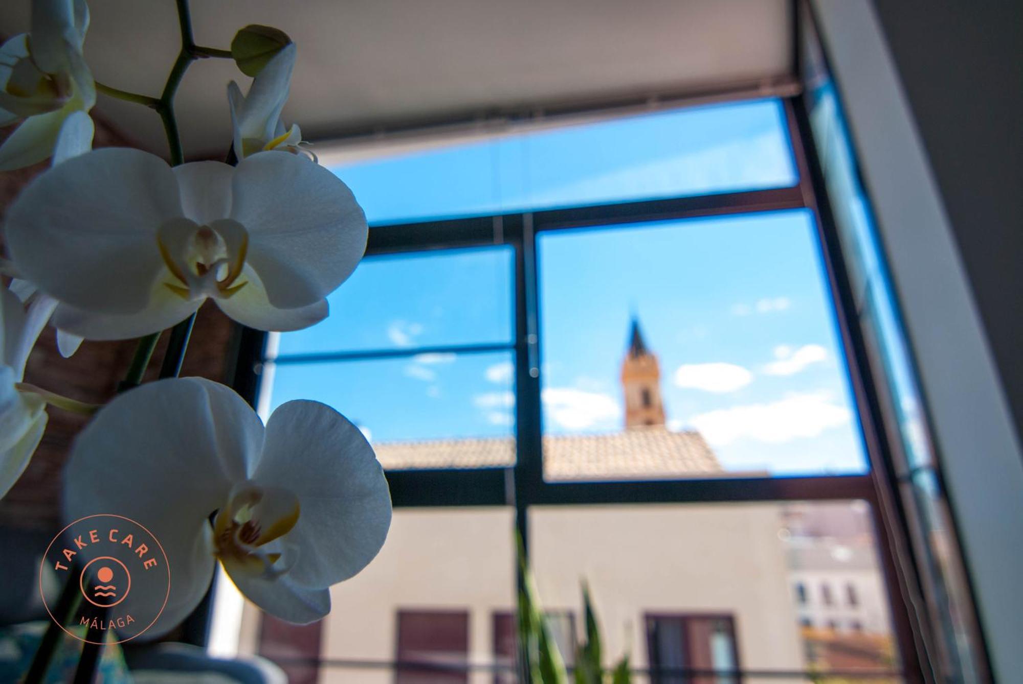 Apartment With Terrace In Malaga Center - Tcm Exterior photo